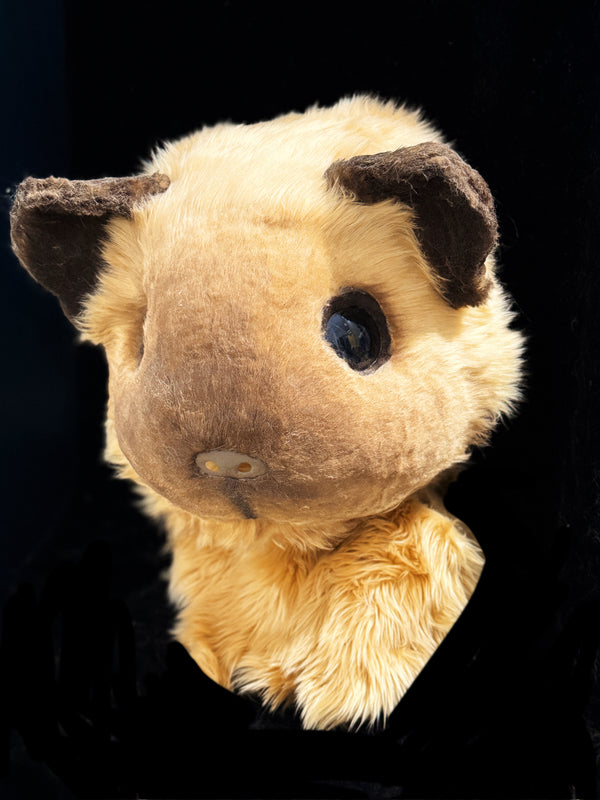 Guinea pig Fursuit