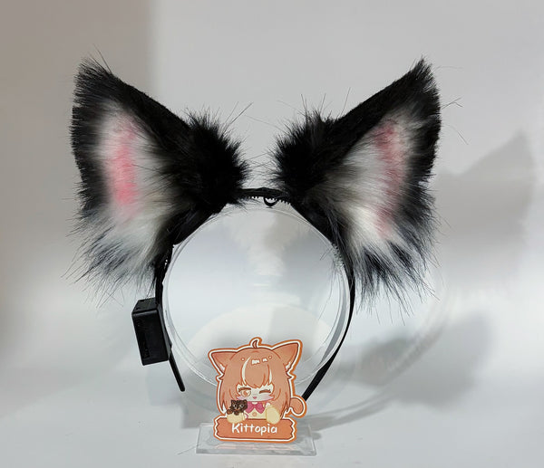 Electronic Cat Ears