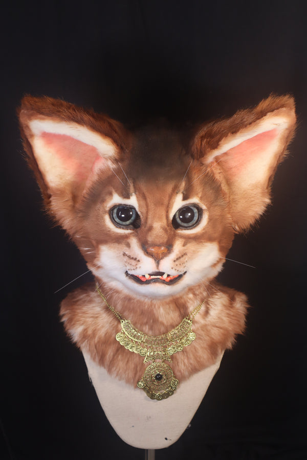 Abyssinian Cat Realistic Fursuit