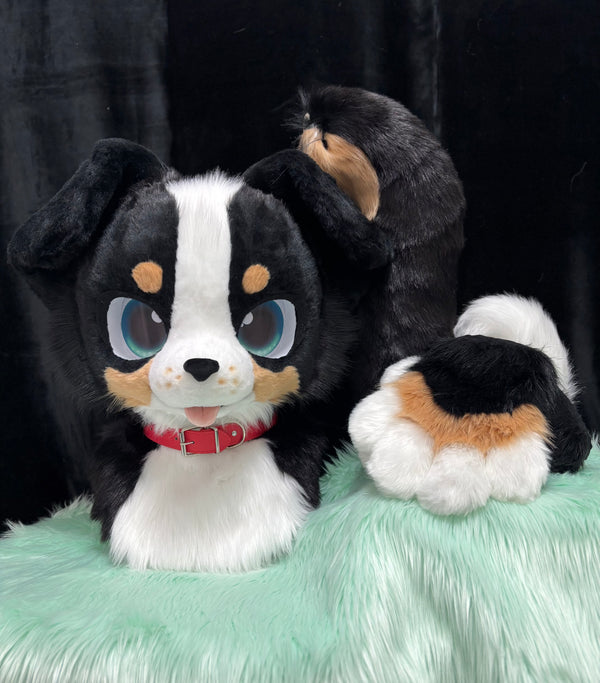 Bernese Mountain Puppy Fursuit (Head+ Paws+Tail)
