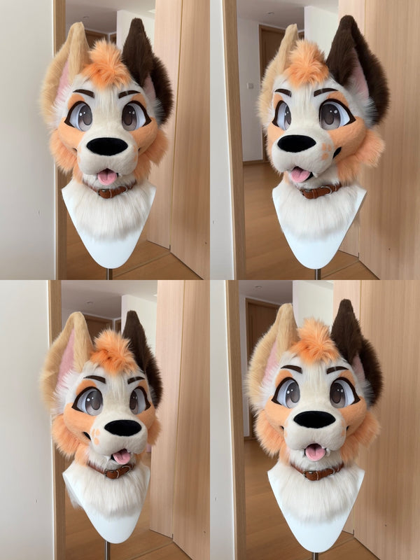 Toony Tricolor Puppy Fursuit (Head+ Paws+Tail)