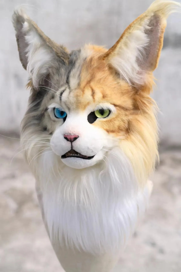Heterochromia Cool Cat Fursuit