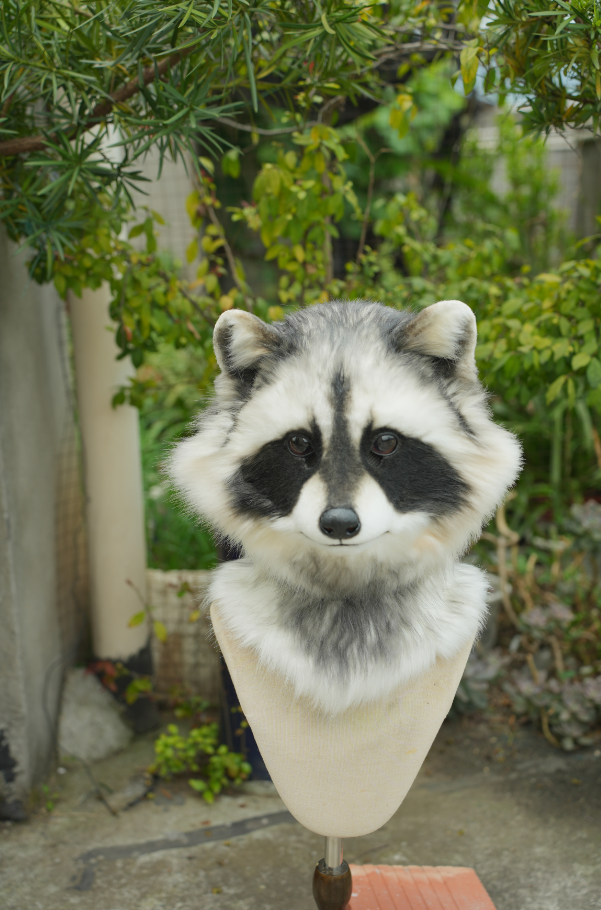 Lifelike Realistic Raccoon Mini Partial (Head + Hand Paws) – DokiDoki ...